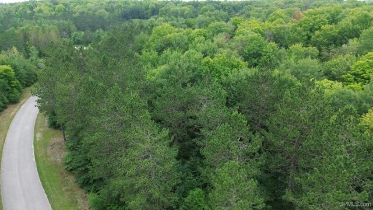 Picture of Residential Land For Sale in Newberry, Michigan, United States