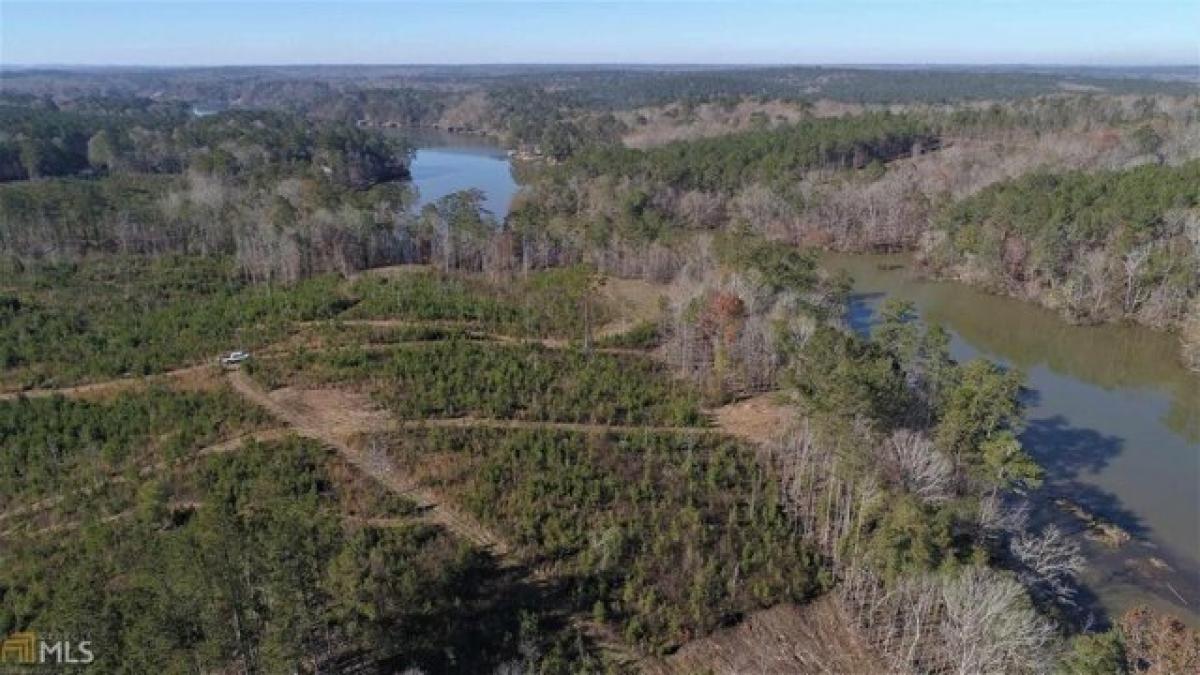 Picture of Residential Land For Sale in Hamilton, Georgia, United States