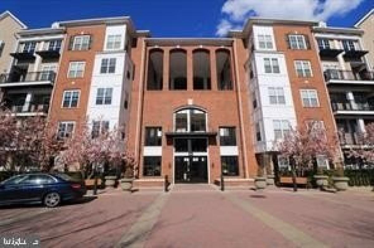 Picture of Apartment For Rent in Rockville, Maryland, United States