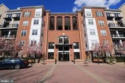 Apartment For Rent in Rockville, Maryland