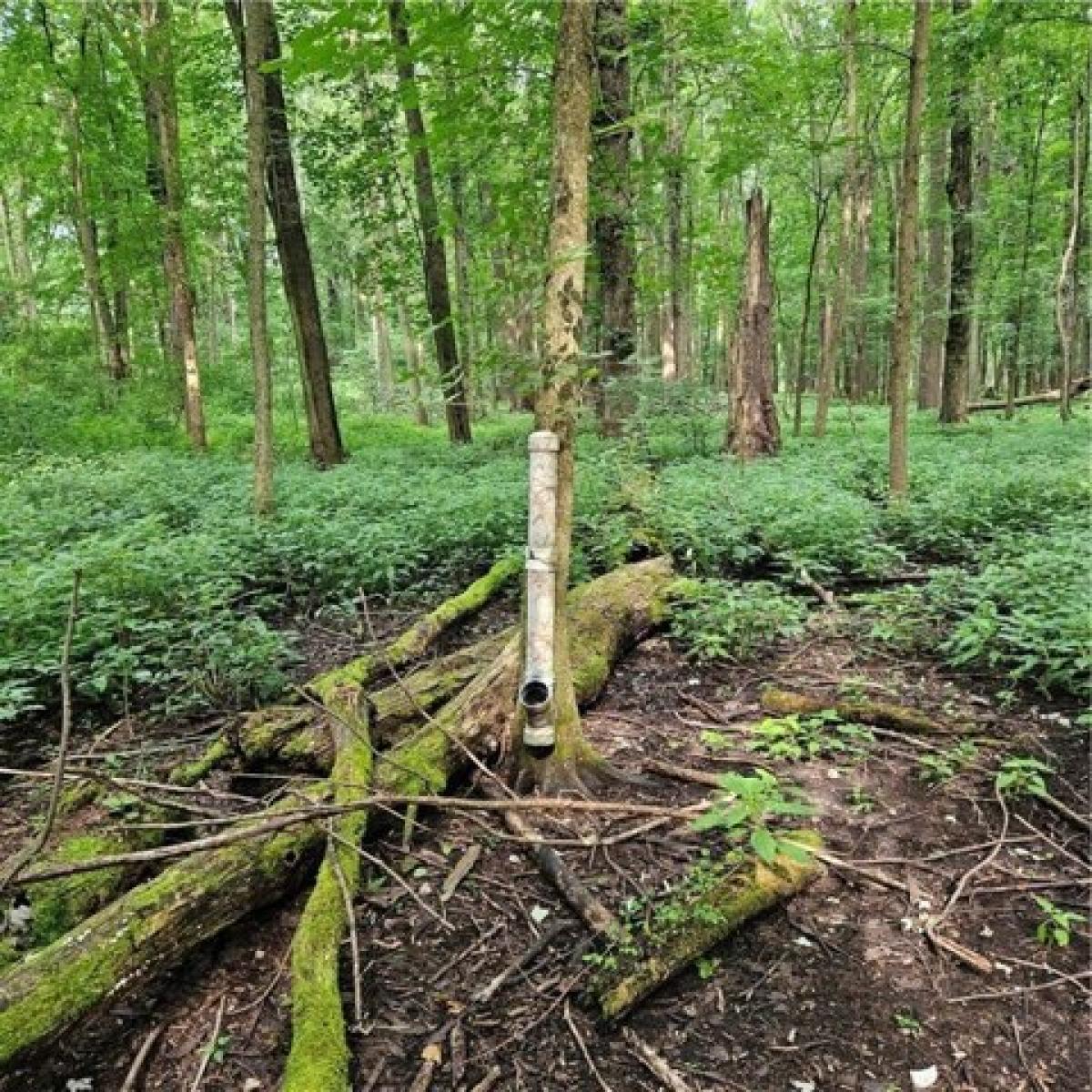 Picture of Residential Land For Sale in Clyde, New York, United States