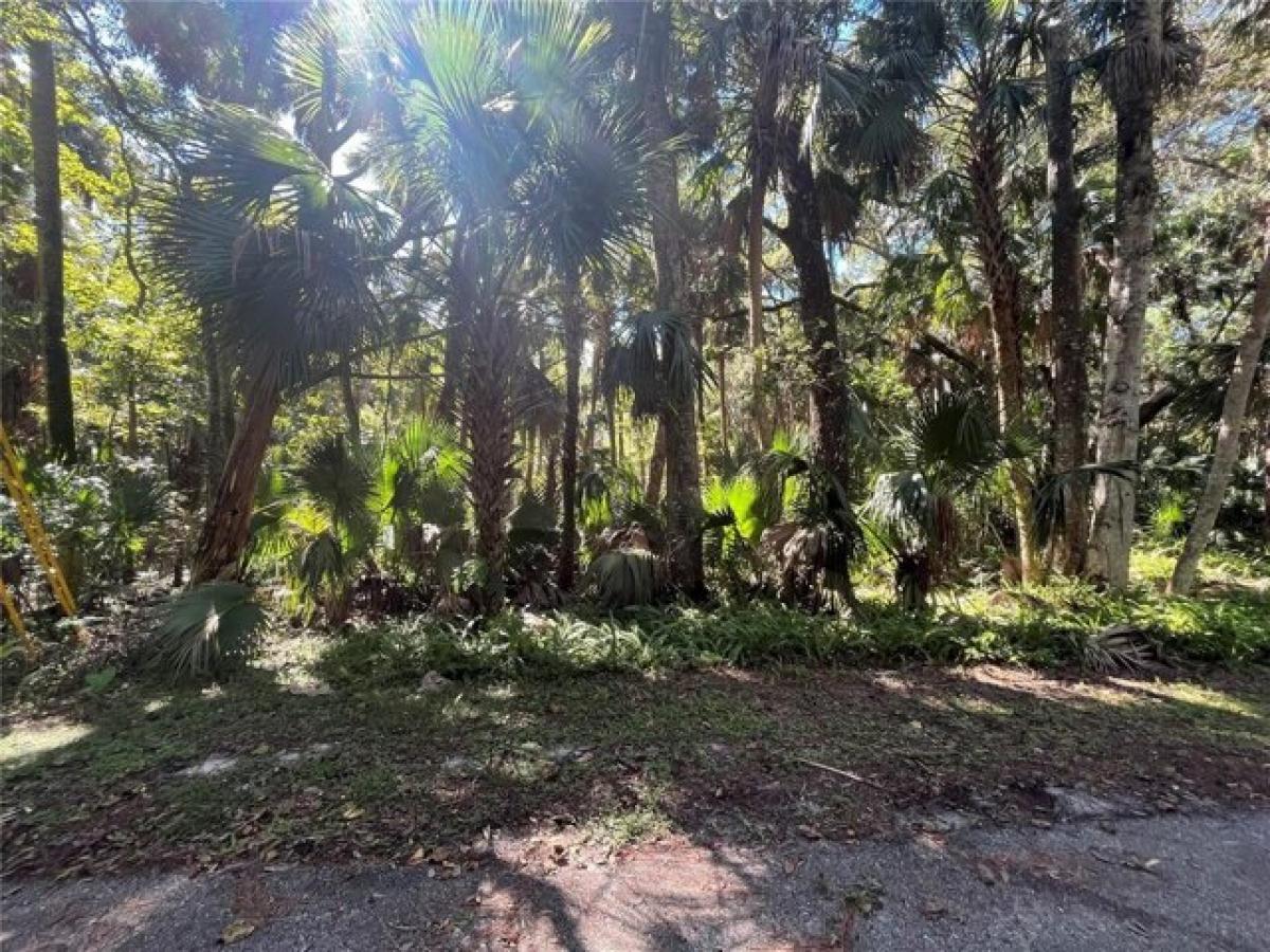 Picture of Residential Land For Sale in Debary, Florida, United States