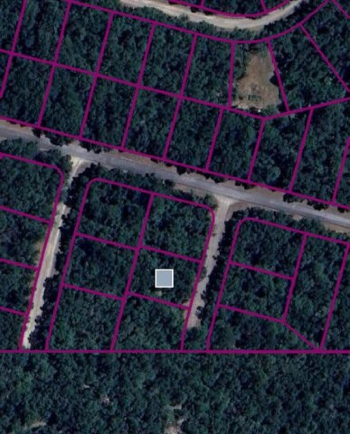 Picture of Residential Land For Sale in Hernando, Florida, United States