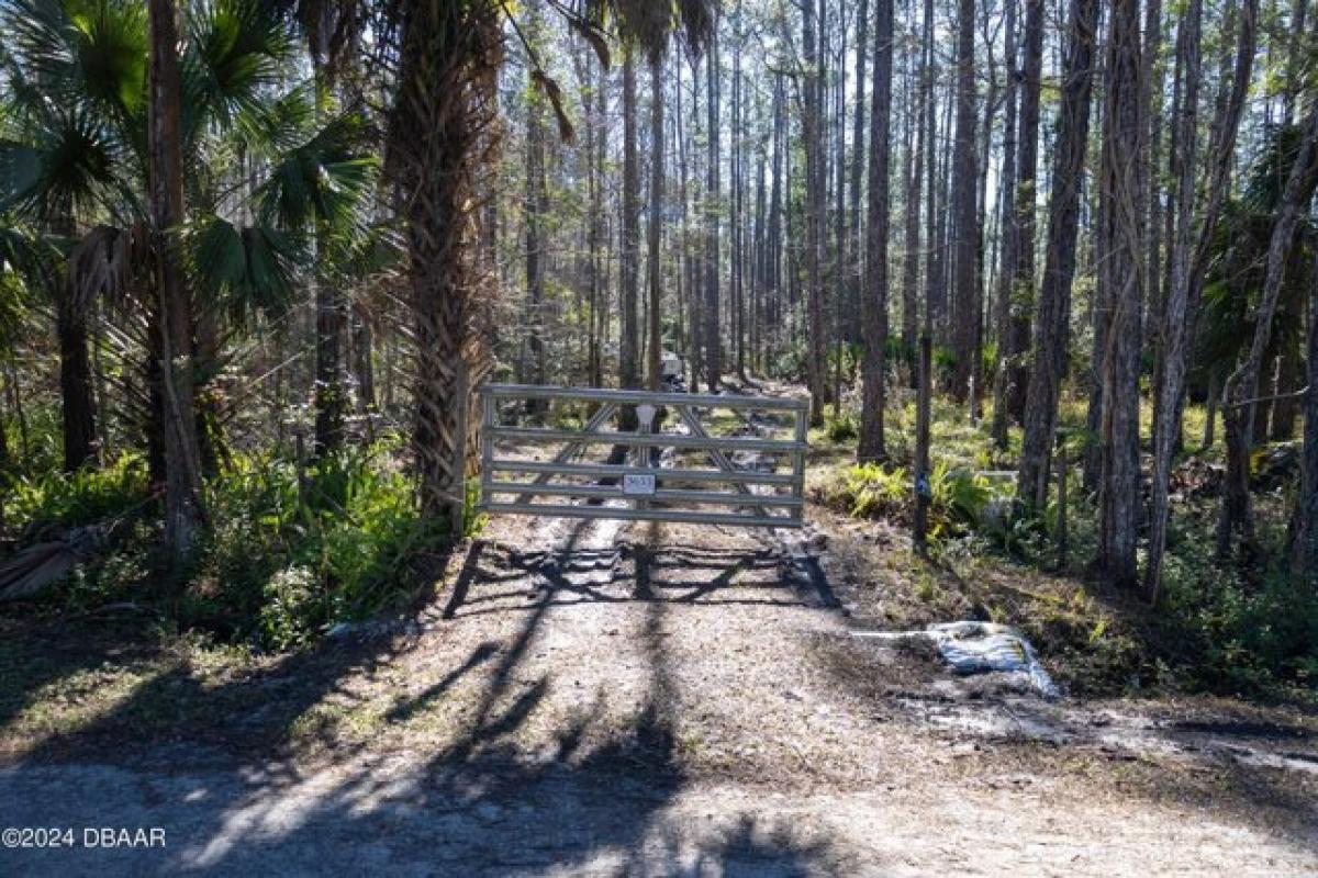 Picture of Residential Land For Sale in Ormond Beach, Florida, United States