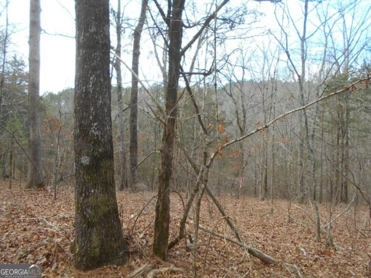 Picture of Residential Land For Sale in Loganville, Georgia, United States