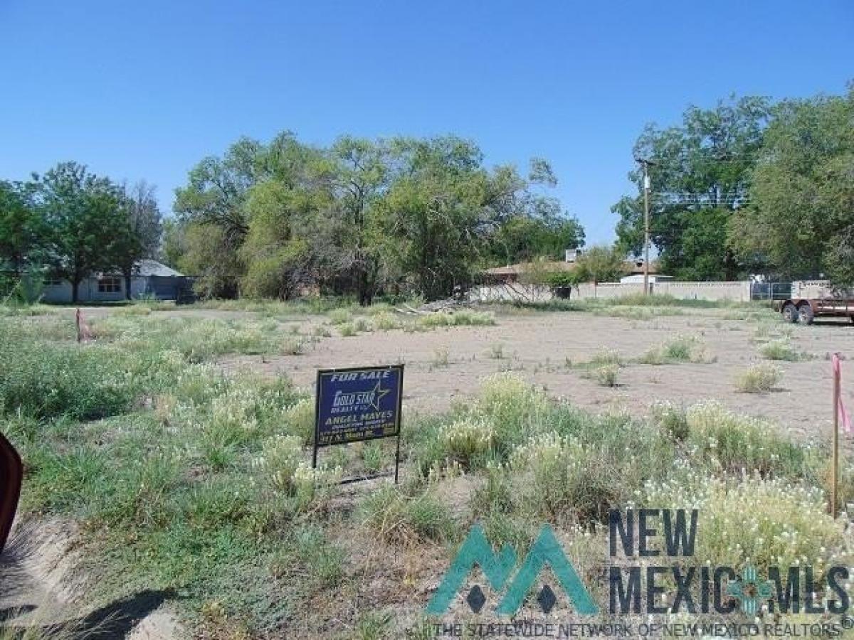 Picture of Residential Land For Sale in Roswell, New Mexico, United States