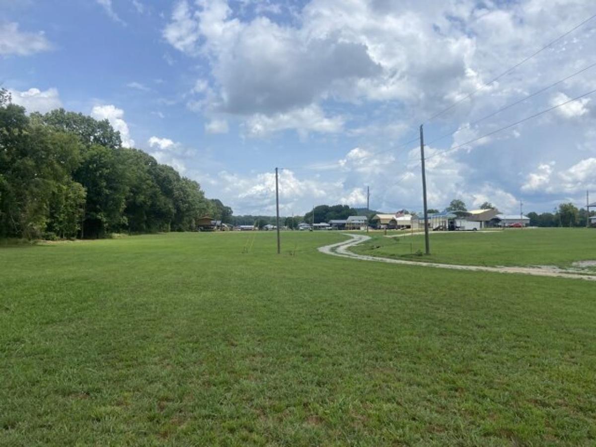 Picture of Residential Land For Sale in Clifton, Tennessee, United States