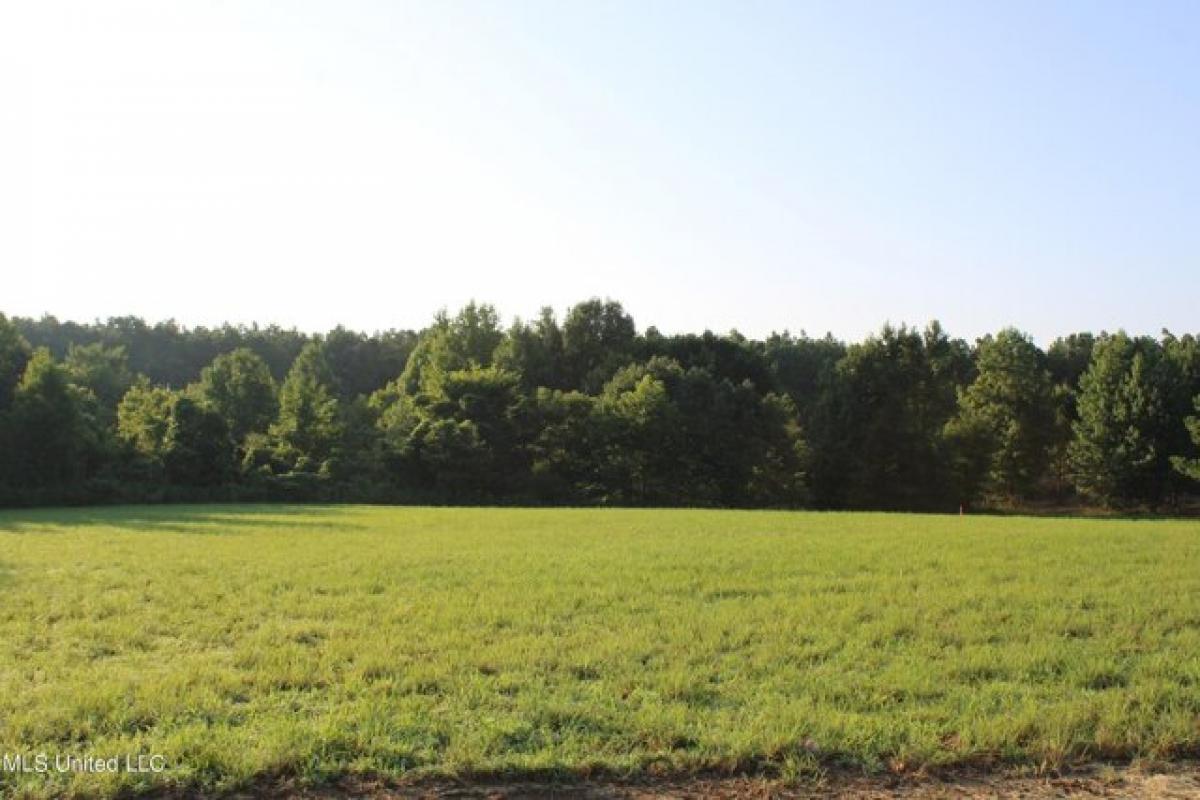 Picture of Residential Land For Sale in Como, Mississippi, United States