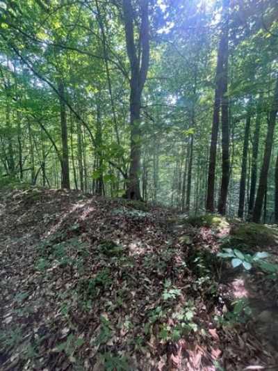 Residential Land For Sale in Busy, Kentucky