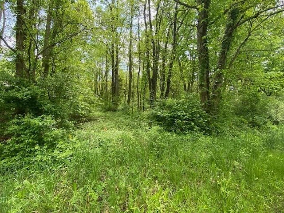 Picture of Residential Land For Sale in Zeeland, Michigan, United States