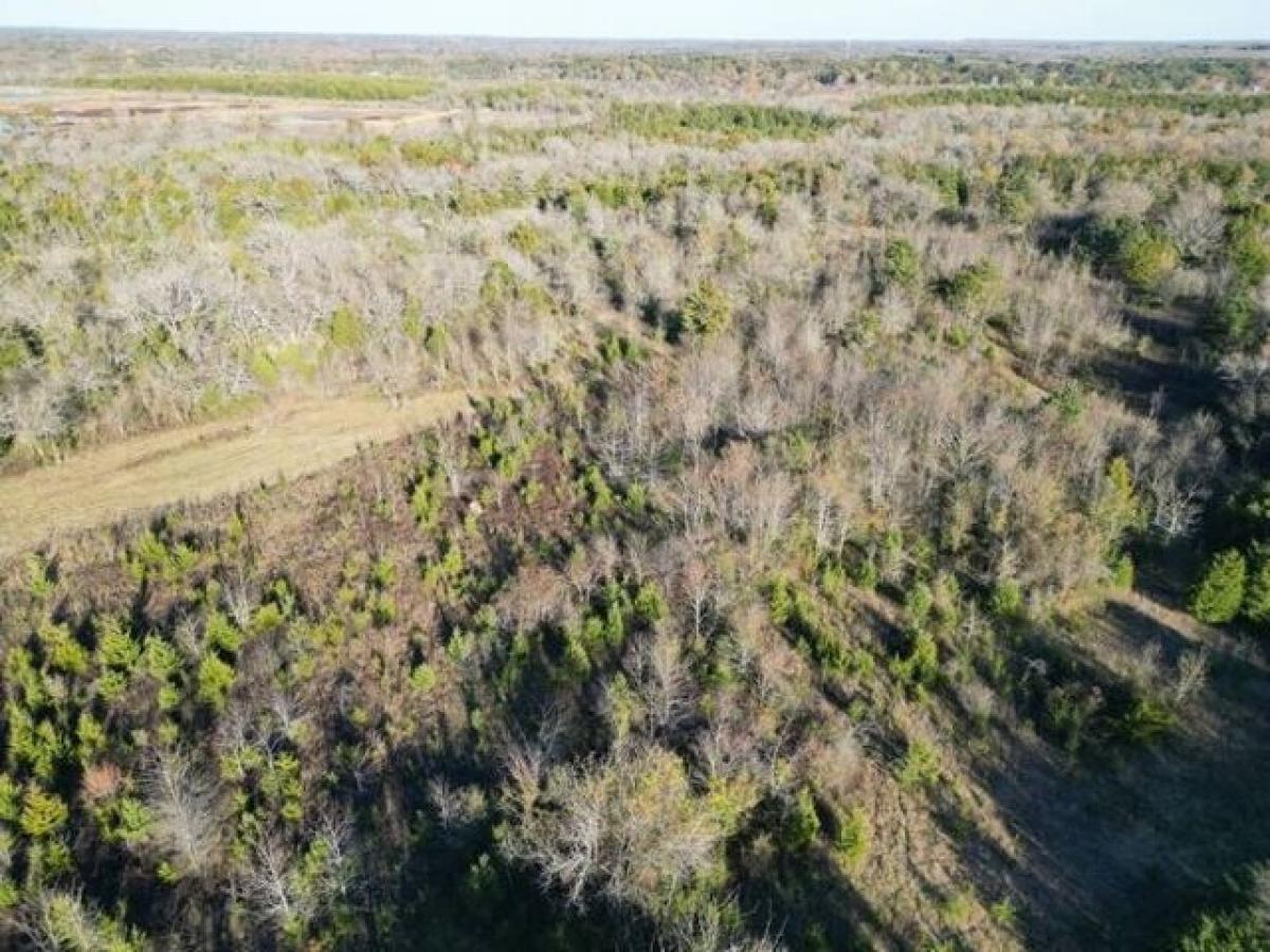 Picture of Residential Land For Sale in Fort Towson, Oklahoma, United States