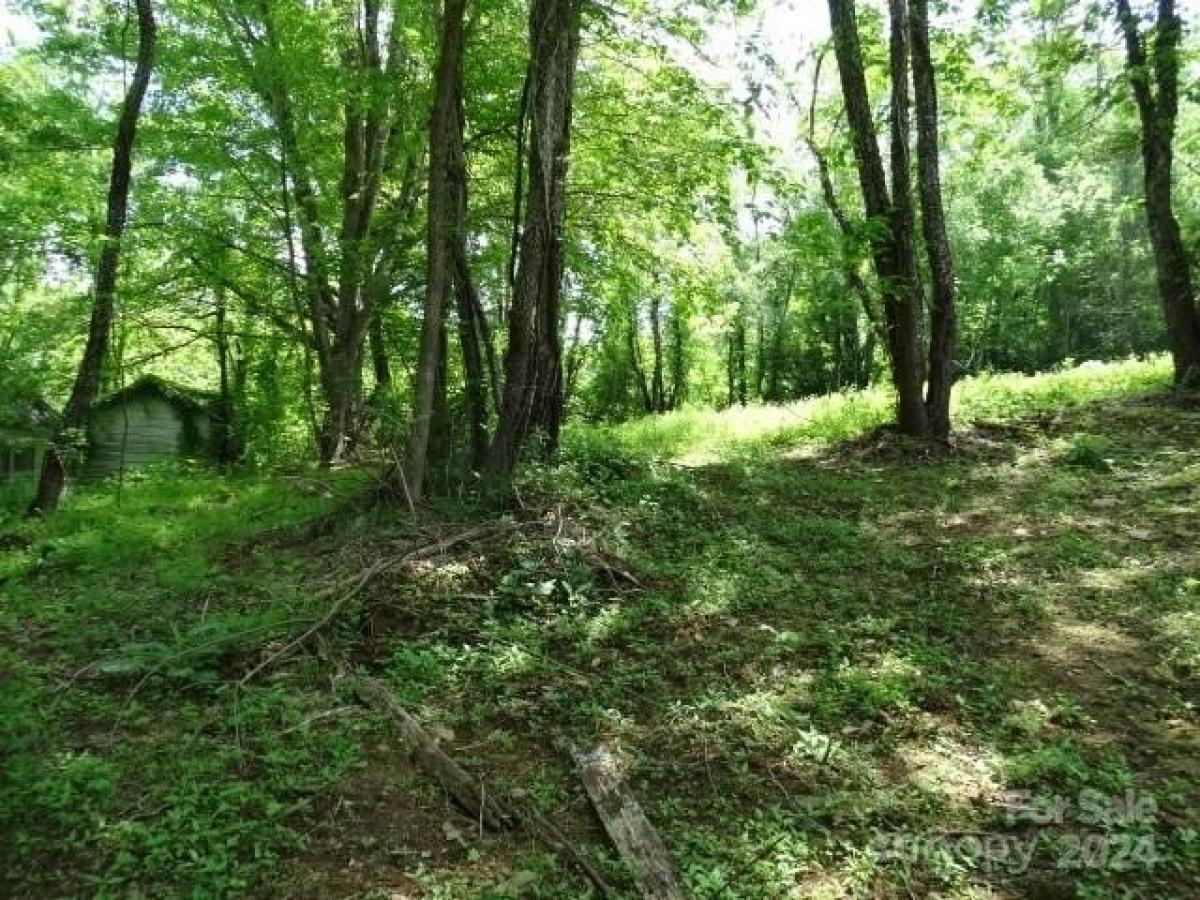 Picture of Residential Land For Sale in Burnsville, North Carolina, United States