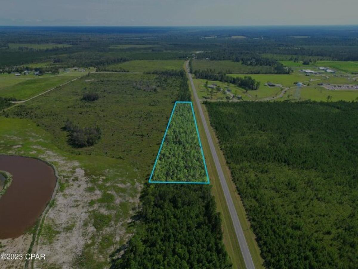 Picture of Residential Land For Sale in Blountstown, Florida, United States