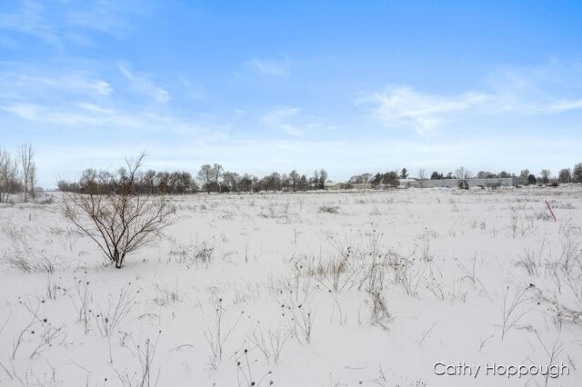 Picture of Residential Land For Sale in Ionia, Michigan, United States