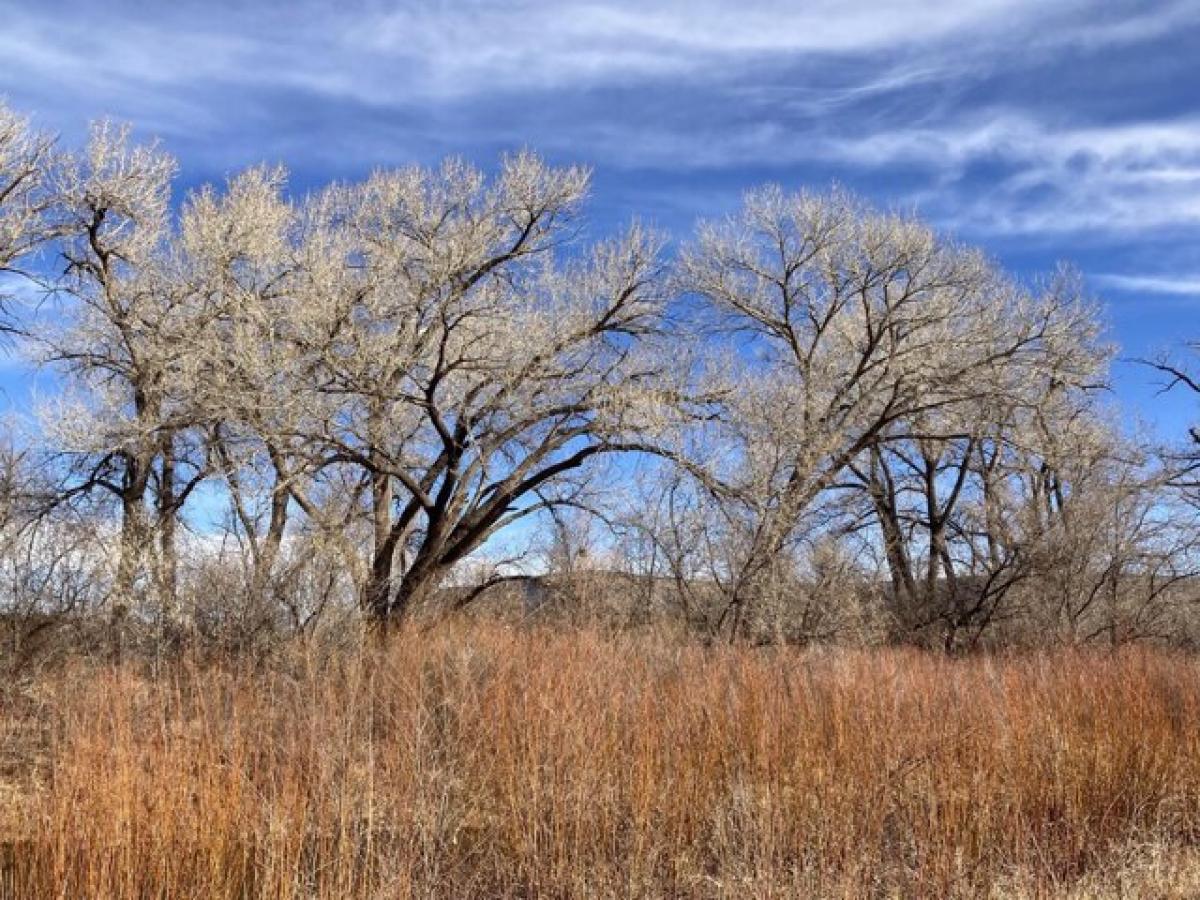 Picture of Home For Sale in Ribera, New Mexico, United States