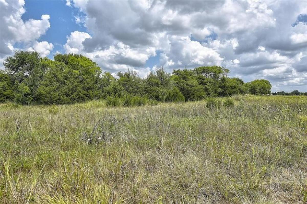 Picture of Residential Land For Sale in Greenville, Texas, United States