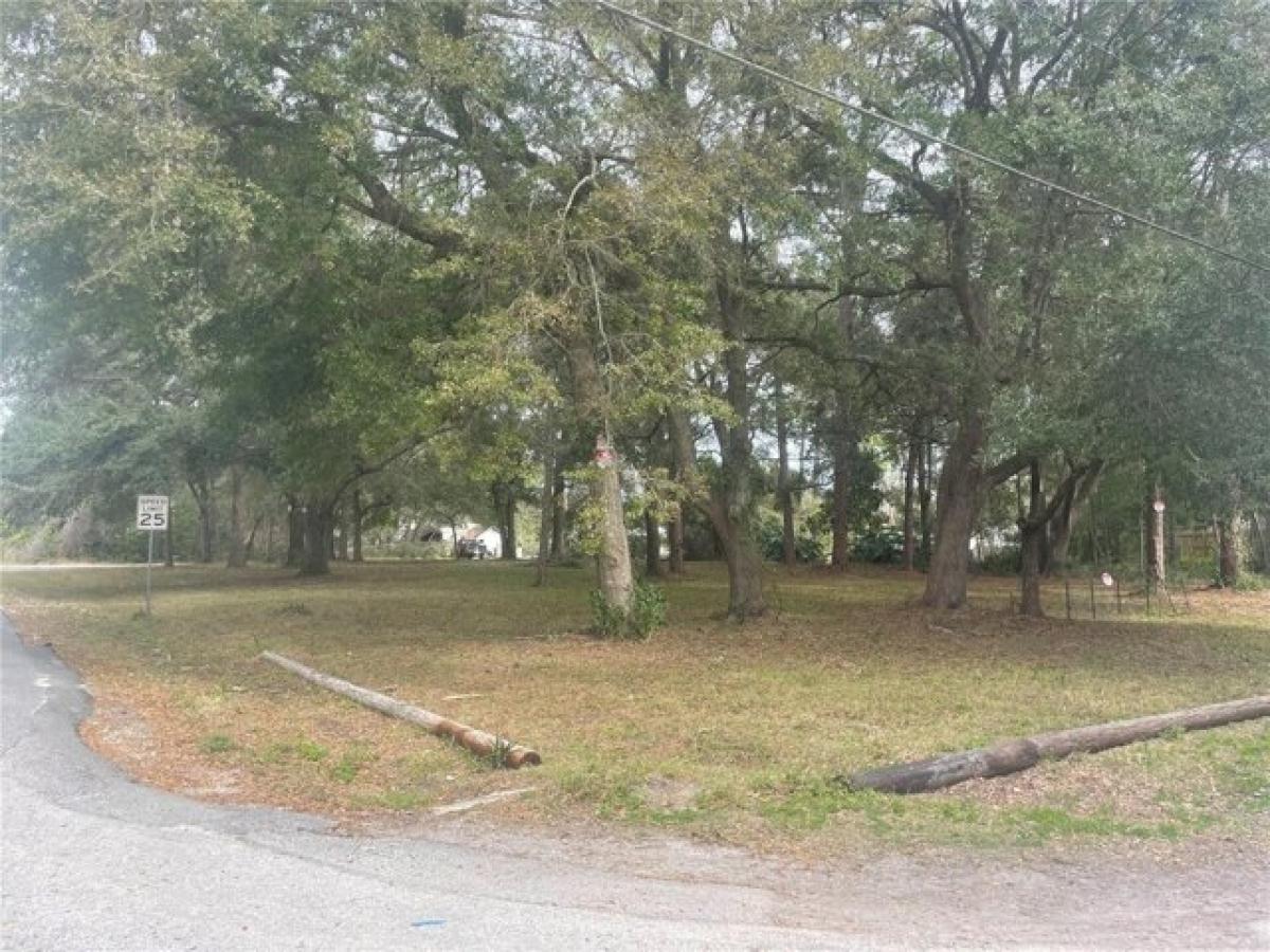 Picture of Residential Land For Sale in Paisley, Florida, United States