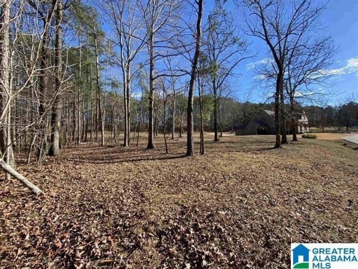 Picture of Residential Land For Sale in Birmingham, Alabama, United States