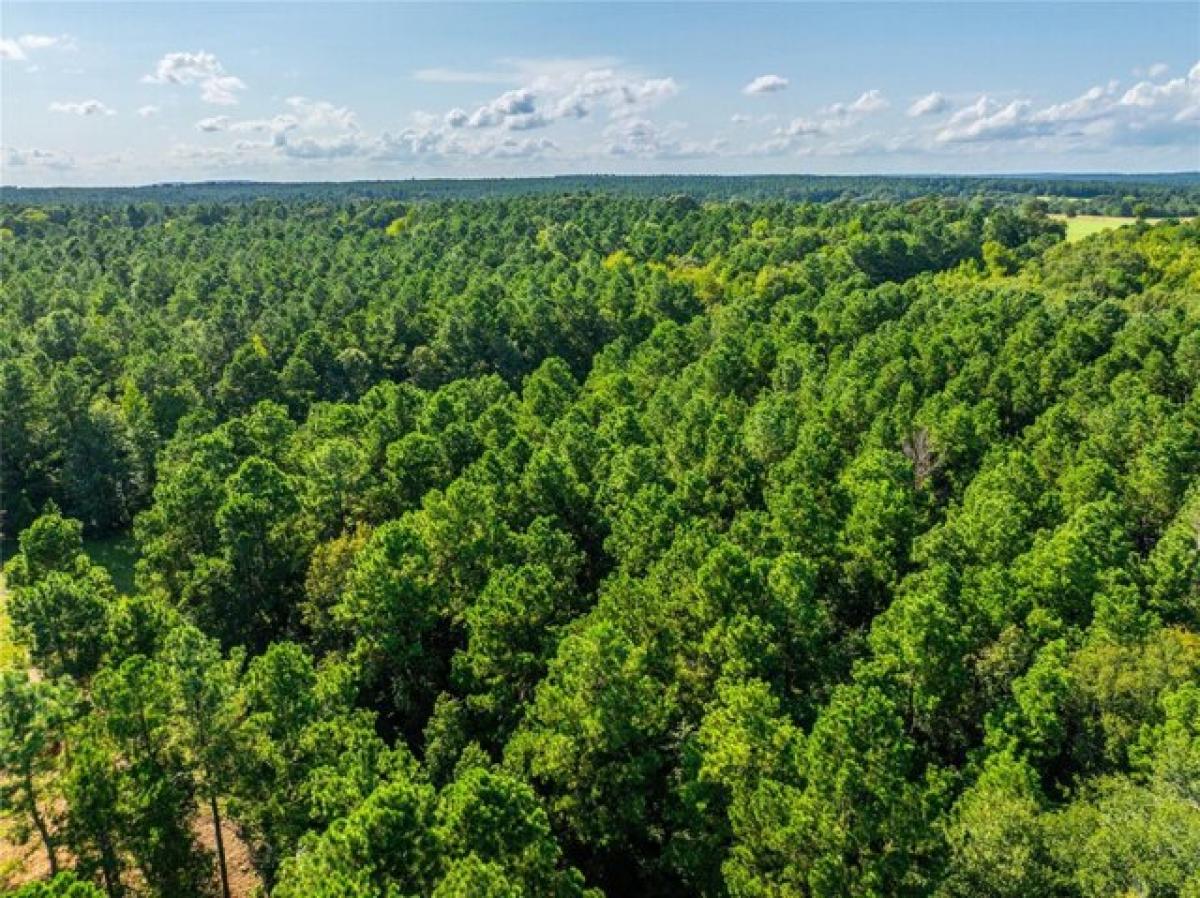 Picture of Residential Land For Sale in Nacogdoches, Texas, United States