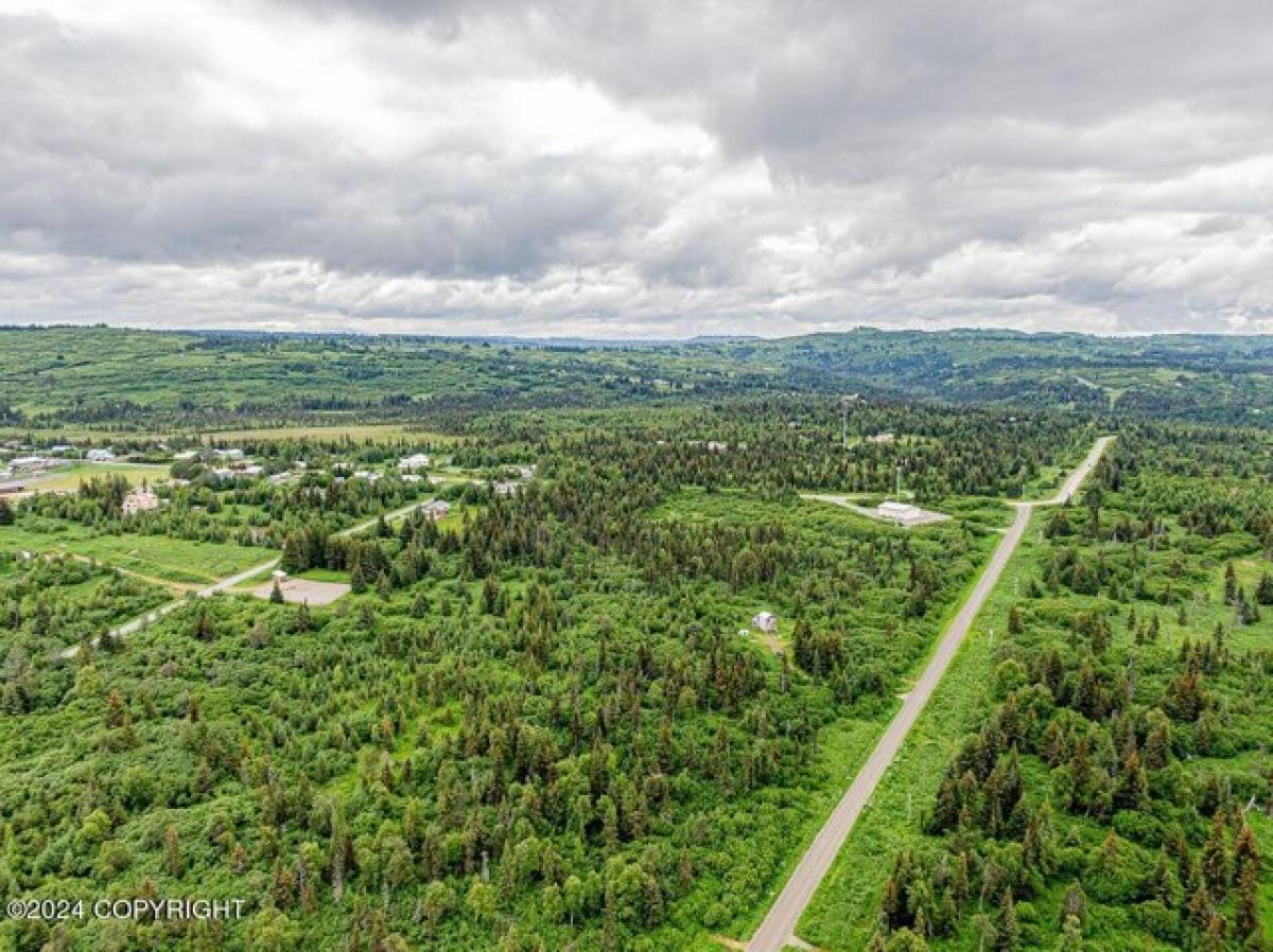 Picture of Residential Land For Sale in Anchor Point, Alaska, United States