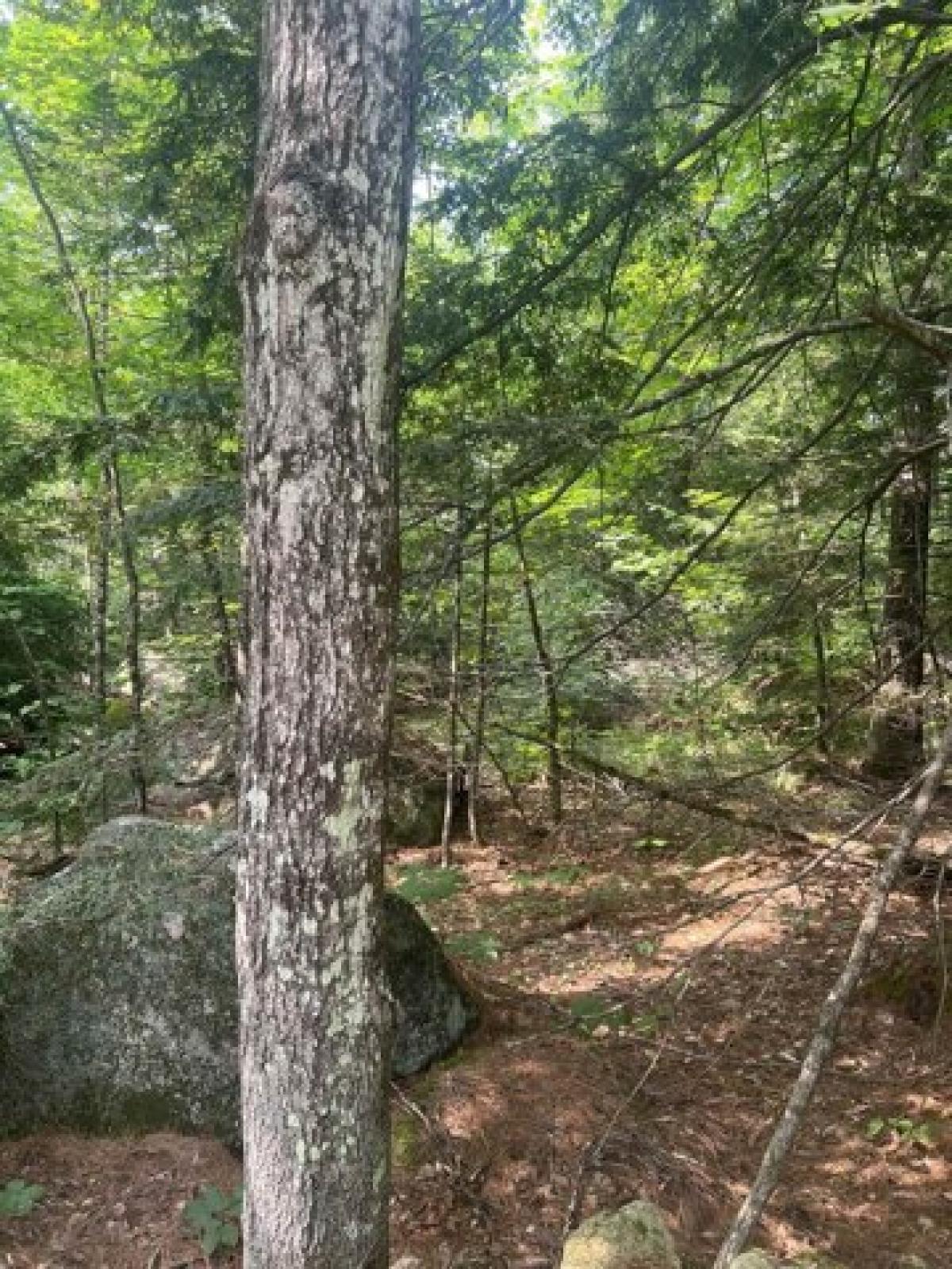 Picture of Residential Land For Sale in Ossipee, New Hampshire, United States