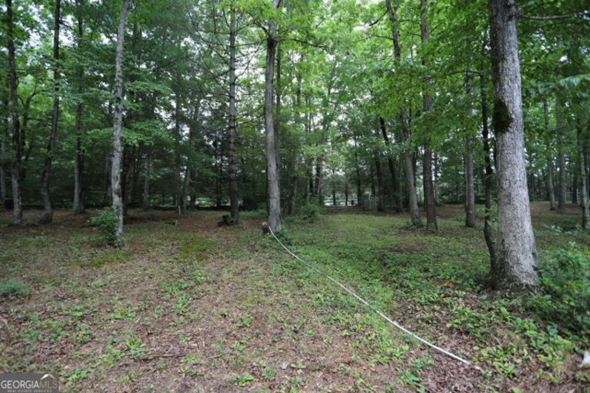 Picture of Residential Land For Sale in Menlo, Georgia, United States