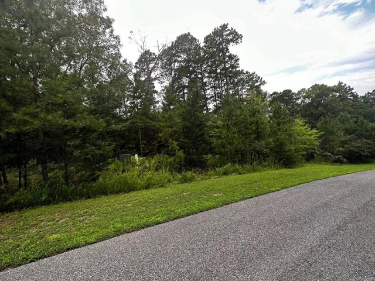 Picture of Residential Land For Sale in Shirley, Arkansas, United States