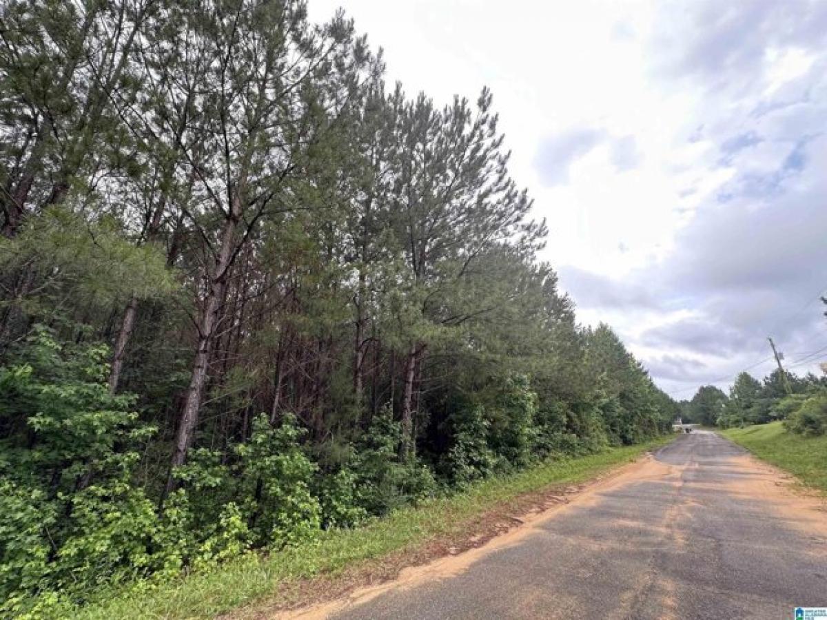 Picture of Residential Land For Sale in Odenville, Alabama, United States