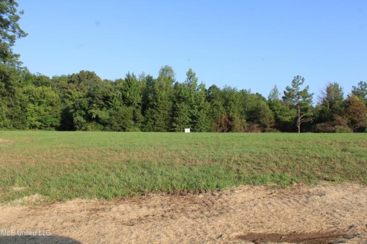 Picture of Residential Land For Sale in Como, Mississippi, United States