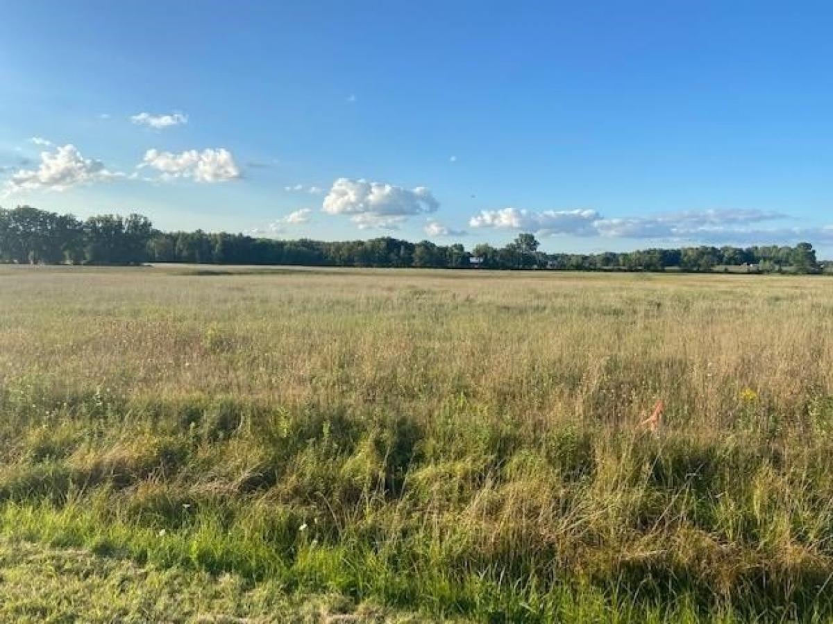 Picture of Residential Land For Sale in Suamico, Wisconsin, United States