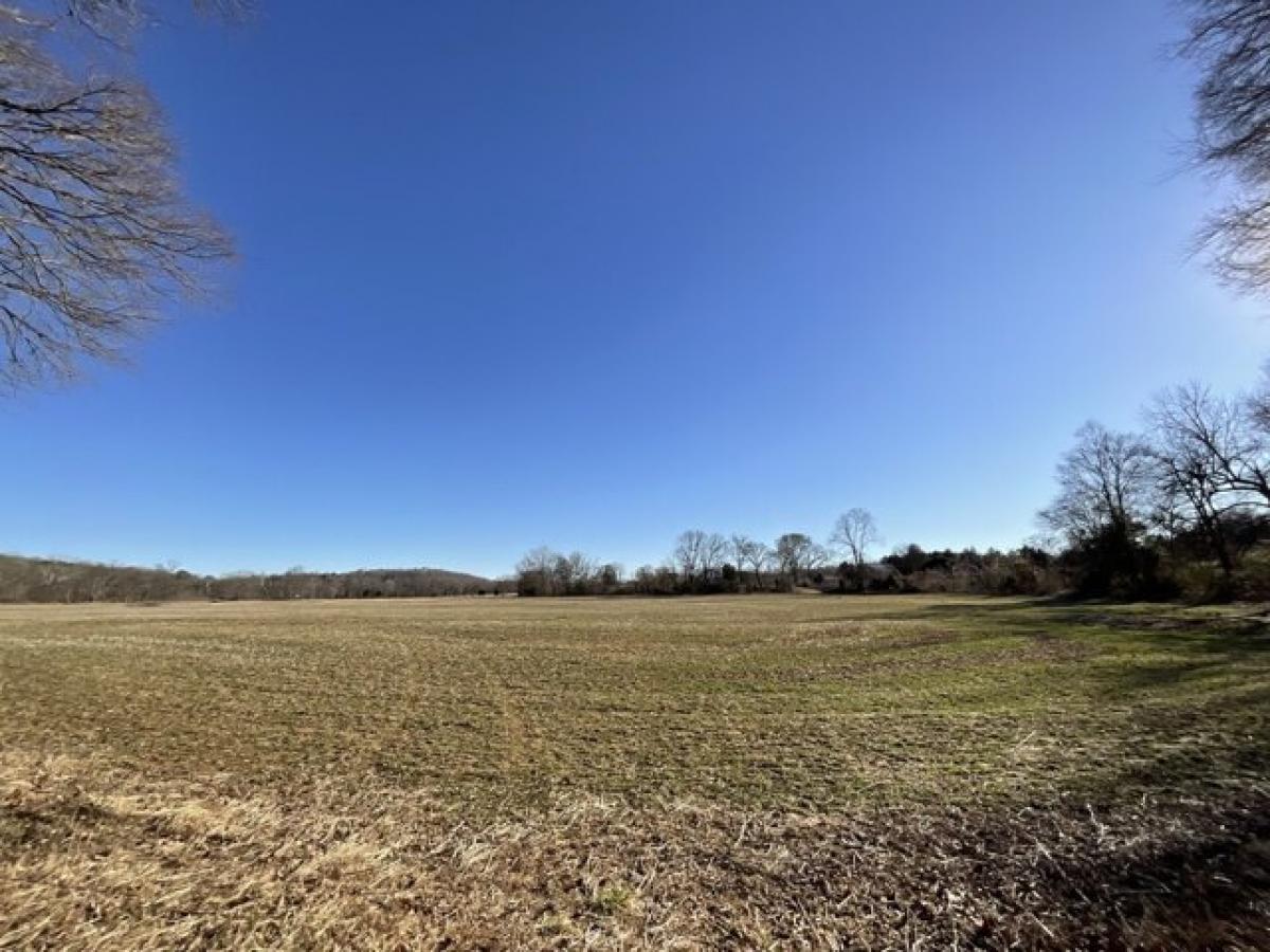 Picture of Residential Land For Sale in Vanleer, Tennessee, United States