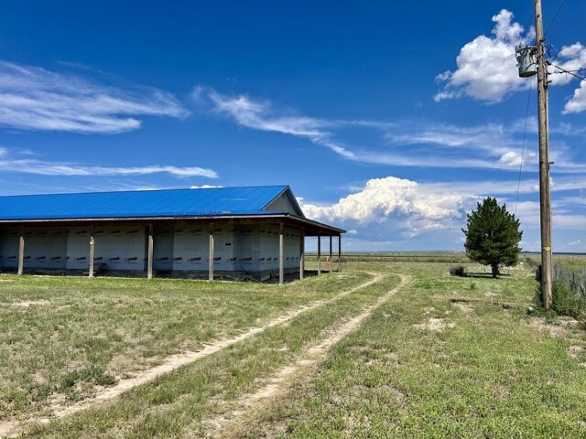 Picture of Home For Sale in Moriarty, New Mexico, United States