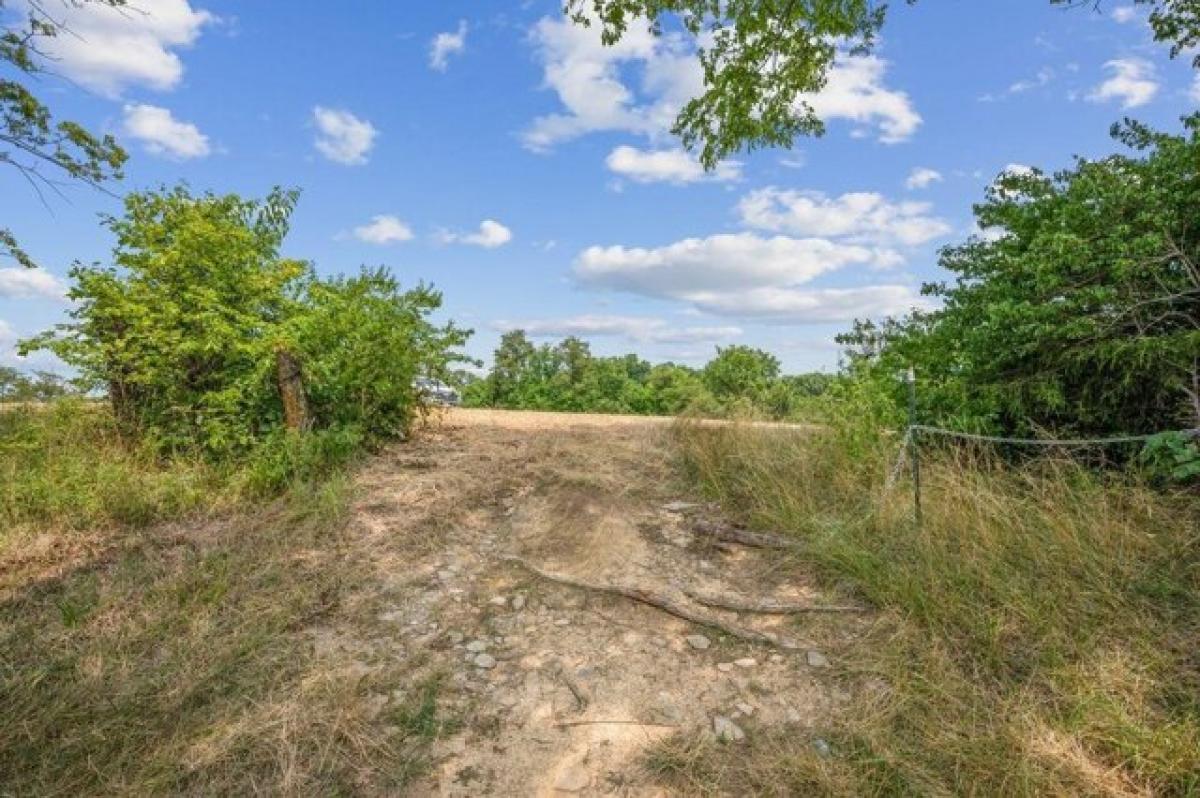 Picture of Residential Land For Sale in Cynthiana, Kentucky, United States