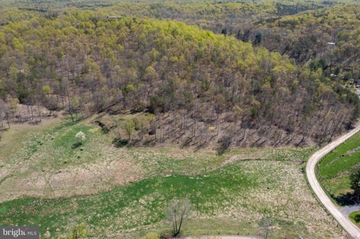 Picture of Residential Land For Sale in Romney, West Virginia, United States