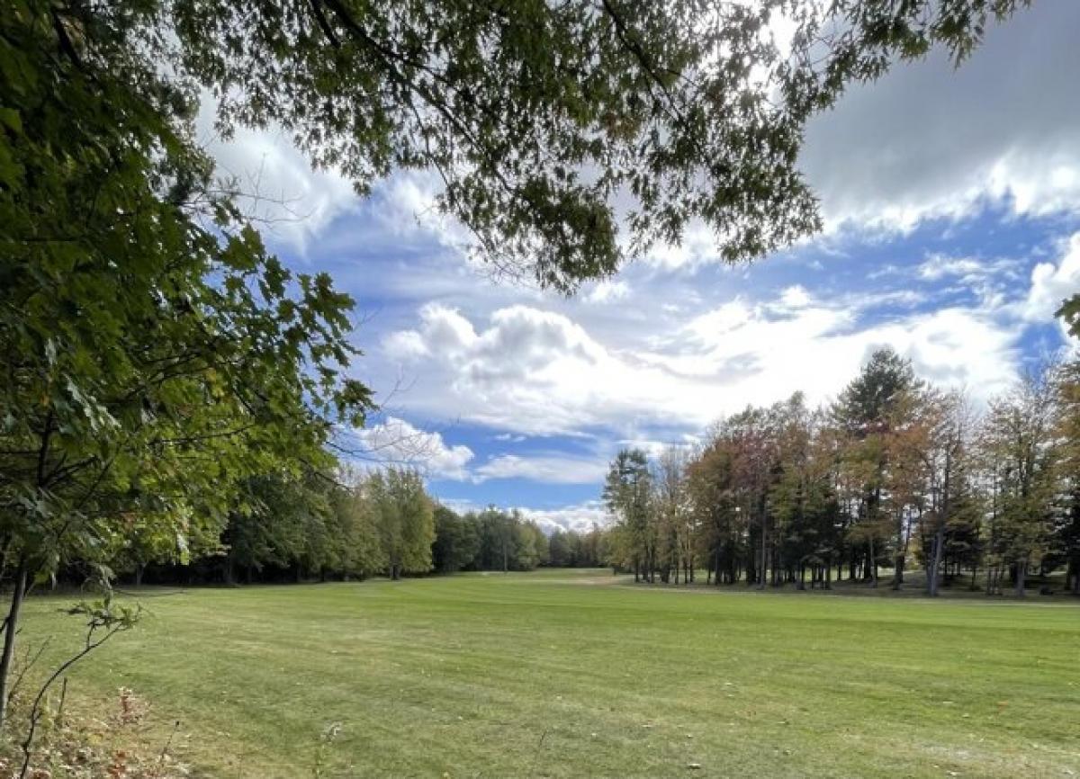 Picture of Residential Land For Sale in Hillman, Michigan, United States