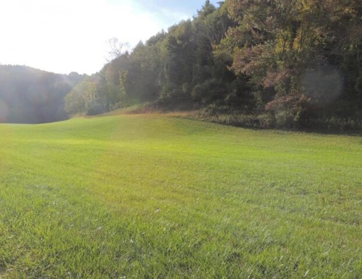 Picture of Residential Land For Sale in Galax, Virginia, United States