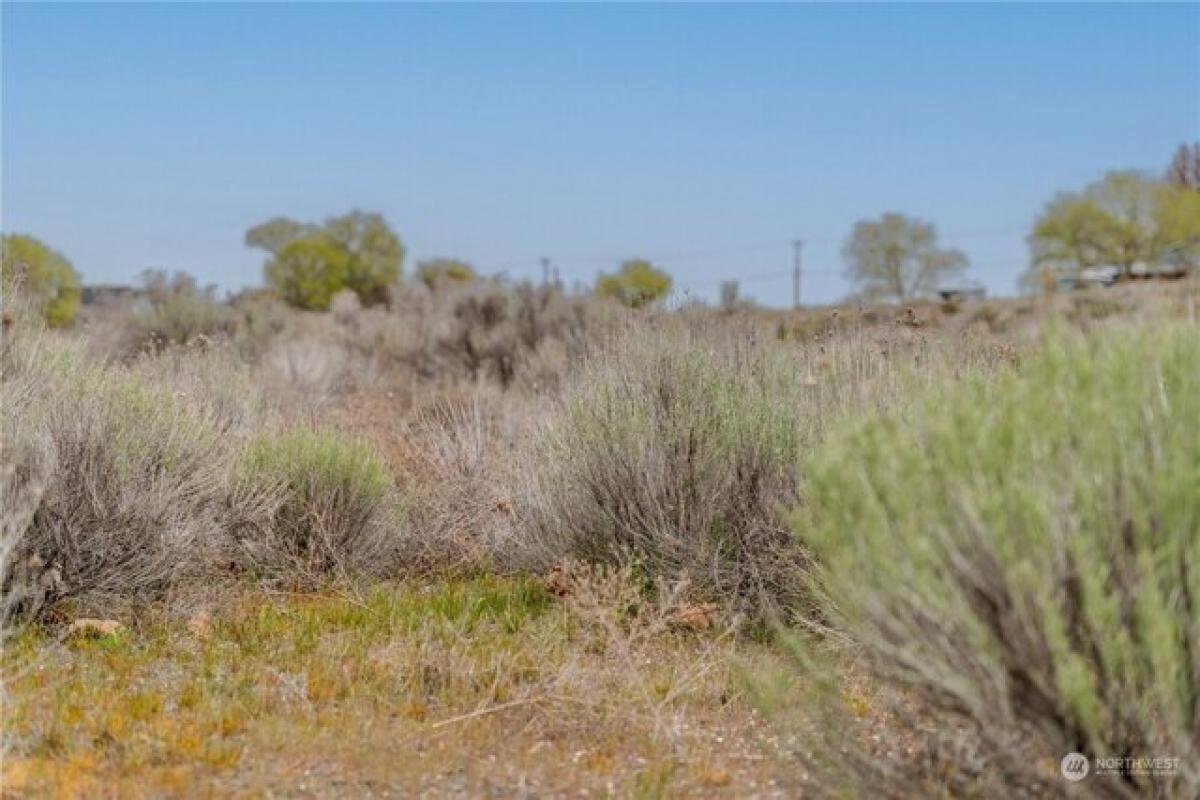 Picture of Residential Land For Sale in Moses Lake, Washington, United States