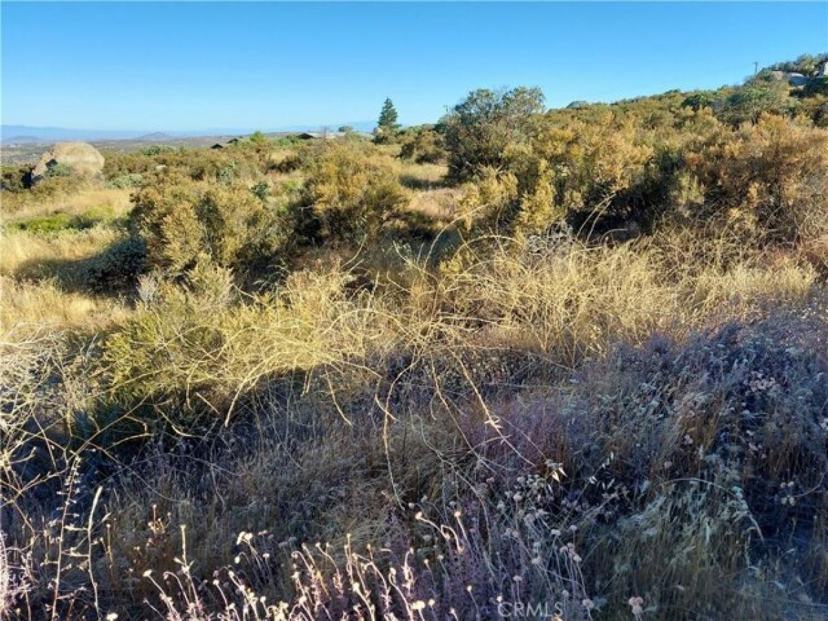 Picture of Residential Land For Sale in Aguanga, California, United States