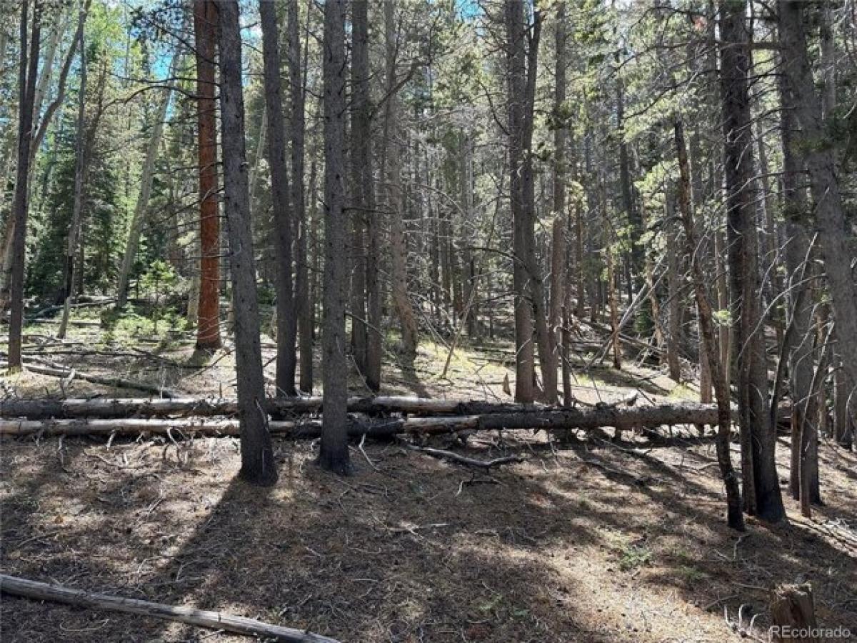 Picture of Residential Land For Sale in Idaho Springs, Colorado, United States