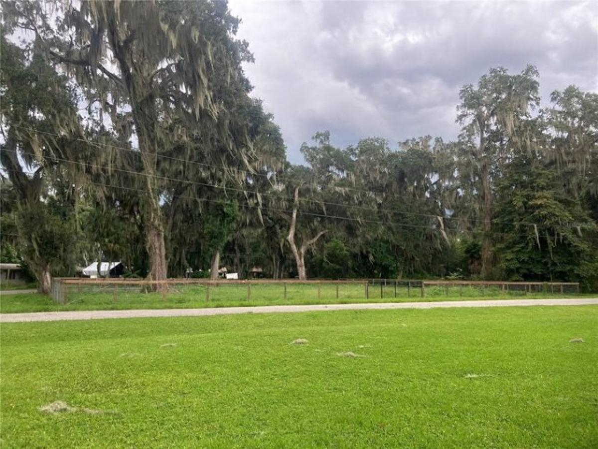 Picture of Residential Land For Sale in Lake Panasoffkee, Florida, United States