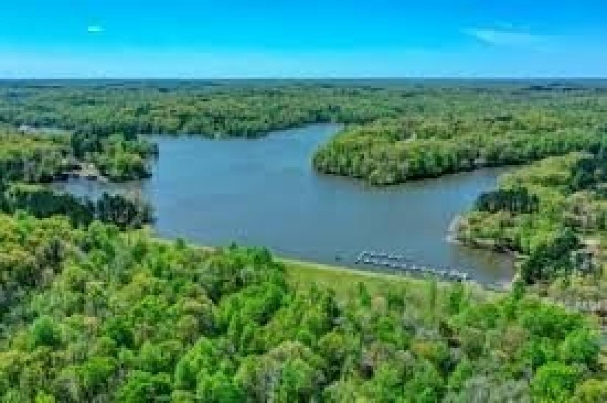 Picture of Residential Land For Sale in Cedar Grove, Tennessee, United States