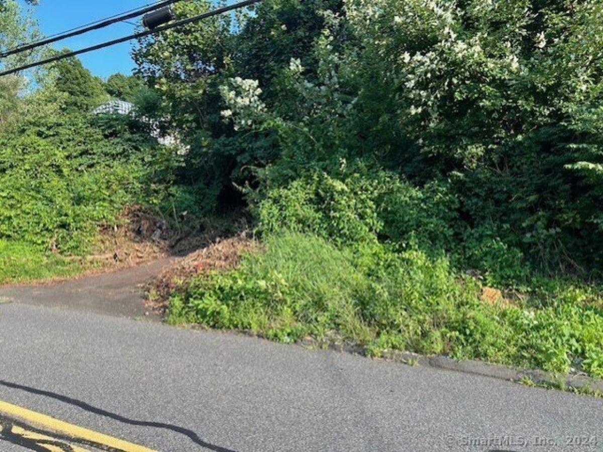 Picture of Residential Land For Sale in Beacon Falls, Connecticut, United States