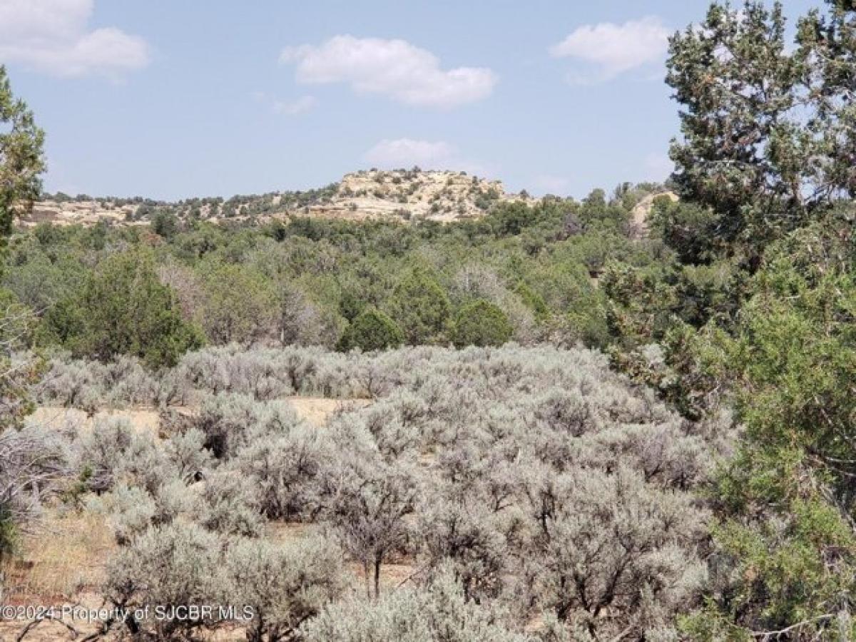 Picture of Residential Land For Sale in Aztec, New Mexico, United States