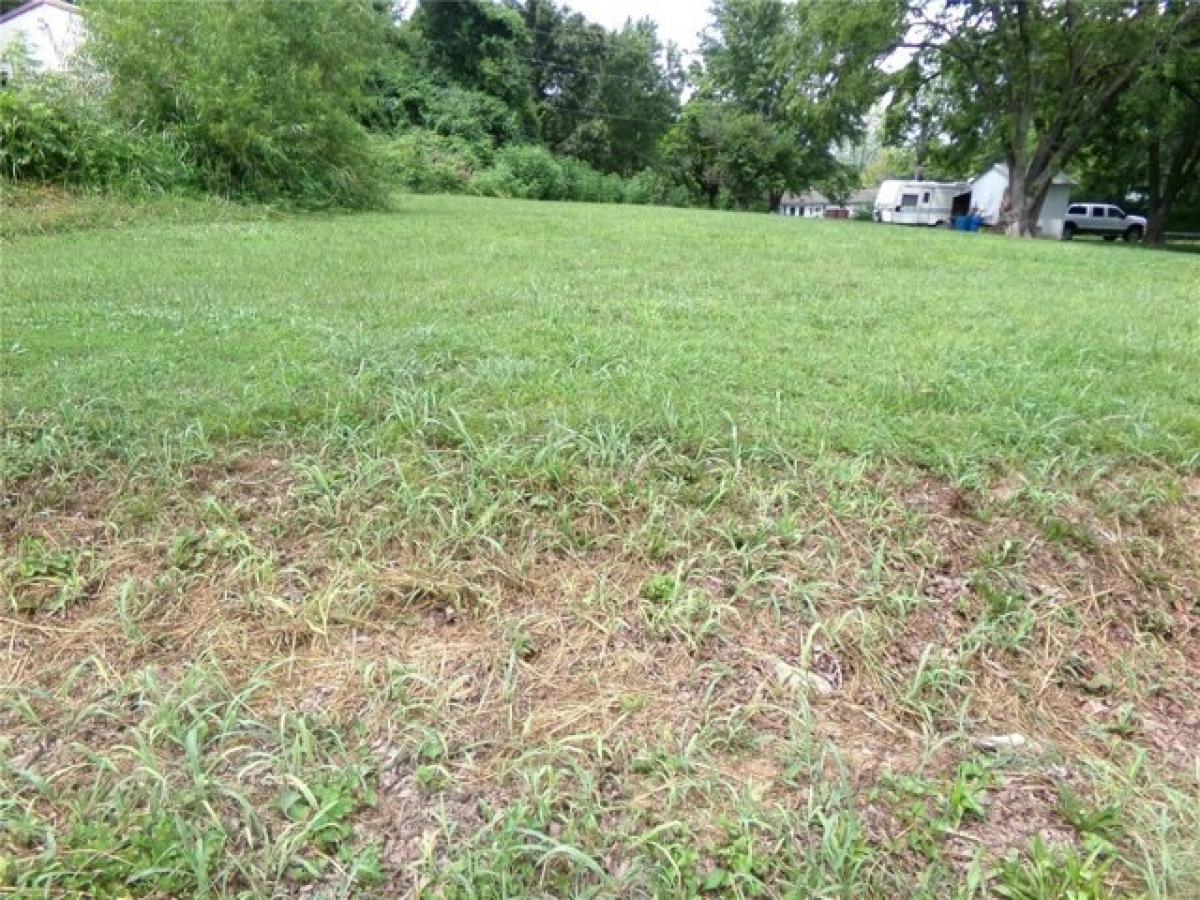 Picture of Residential Land For Sale in Leadwood, Missouri, United States