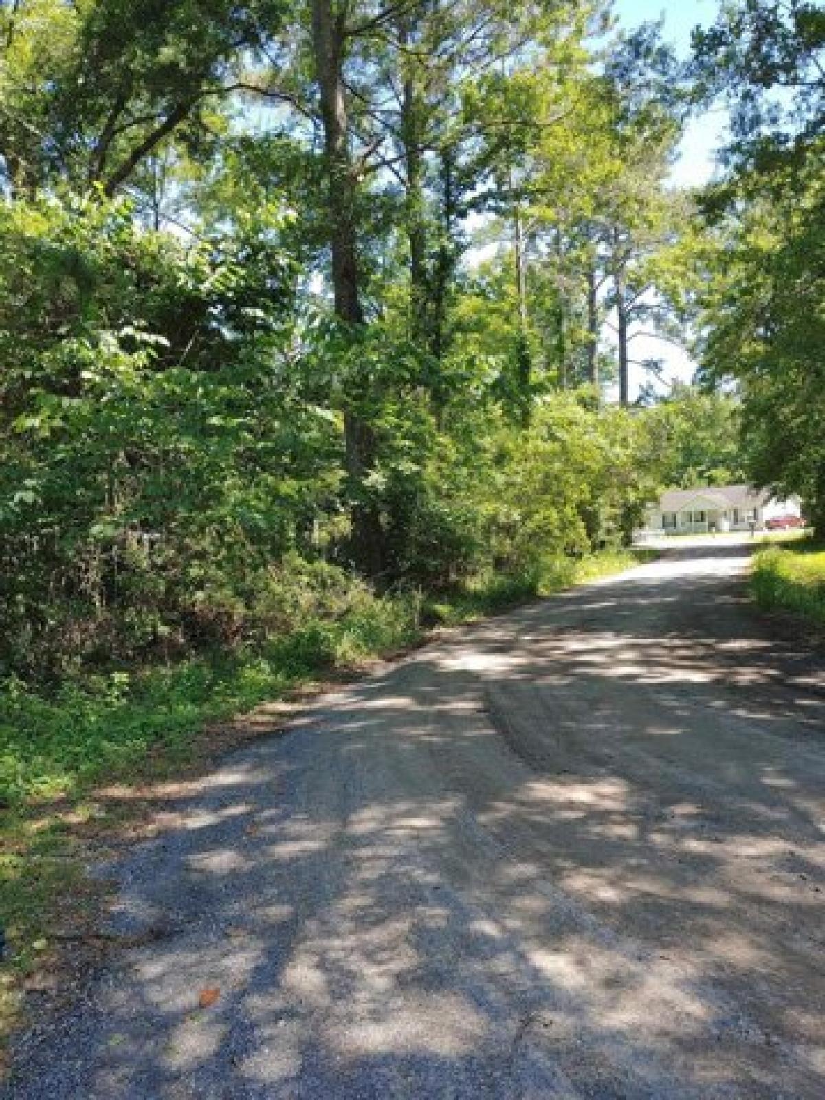 Picture of Residential Land For Sale in Pawleys Island, South Carolina, United States