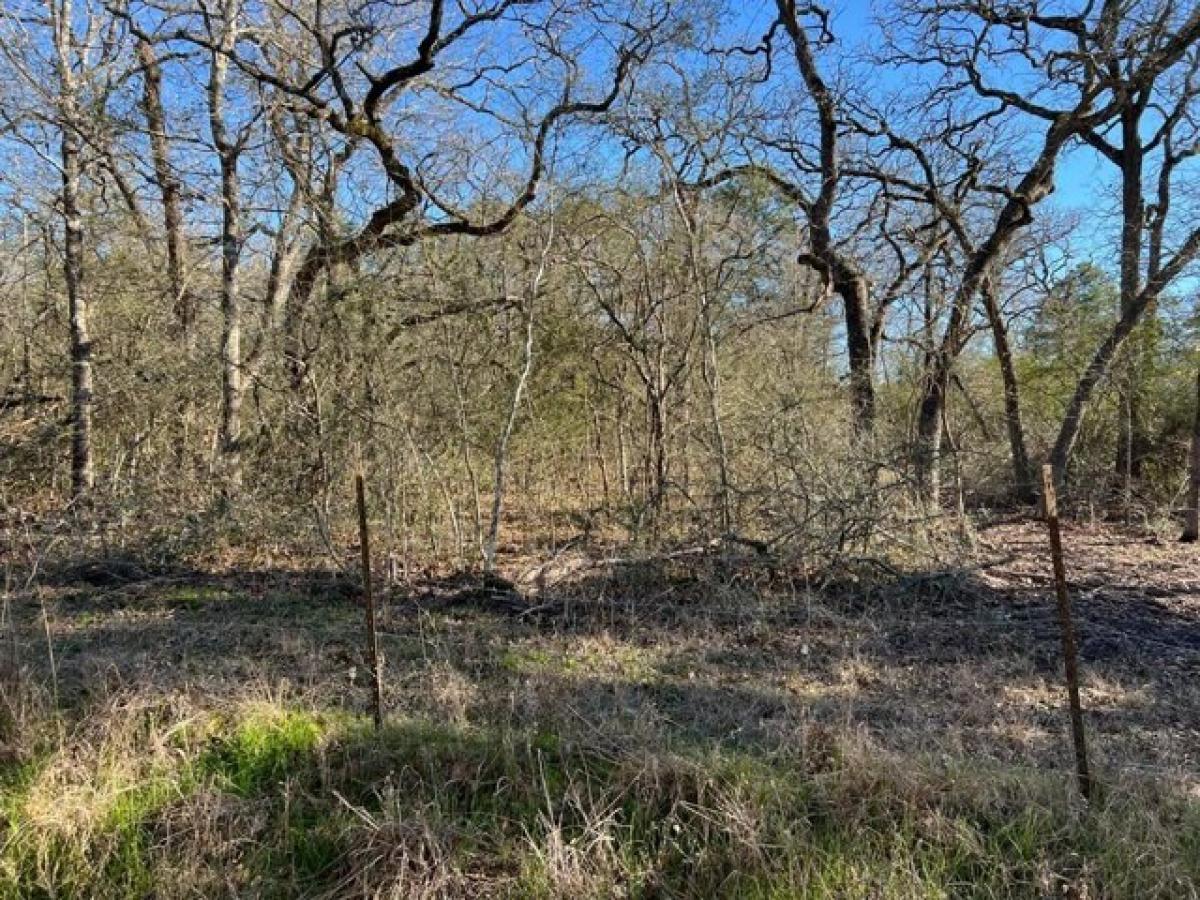 Picture of Residential Land For Sale in Bedias, Texas, United States