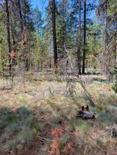 Residential Land For Sale in La Pine, Oregon