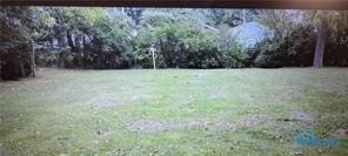 Picture of Residential Land For Sale in Holgate, Ohio, United States