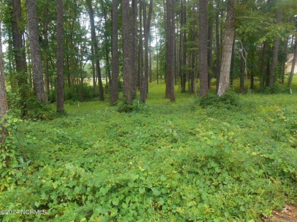 Picture of Residential Land For Sale in Southport, North Carolina, United States