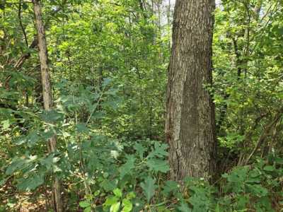 Residential Land For Sale in Idlewild, Michigan